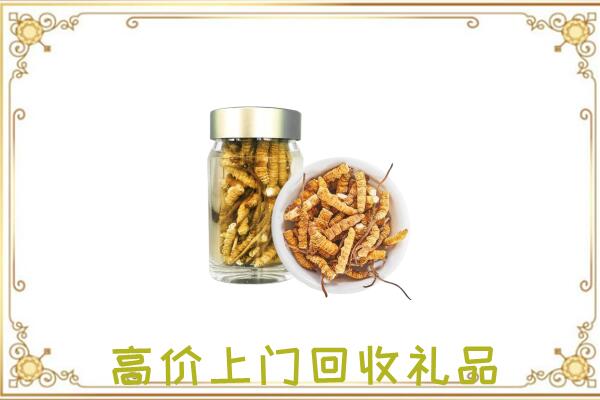 广平县周边回收虫草